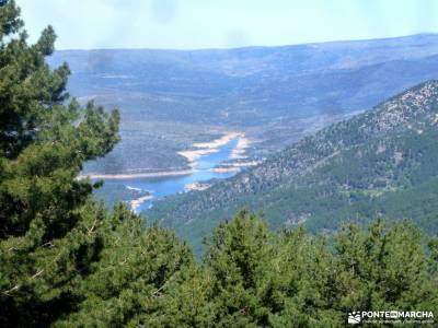 Reserva Natural Valle Iruelas-Pozo de la nieve;rutas de toledo parque de monfrague pueblos medievale